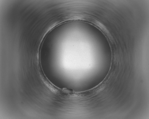 X0000071931234200607212125