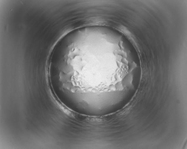 X0000071931235200607212126