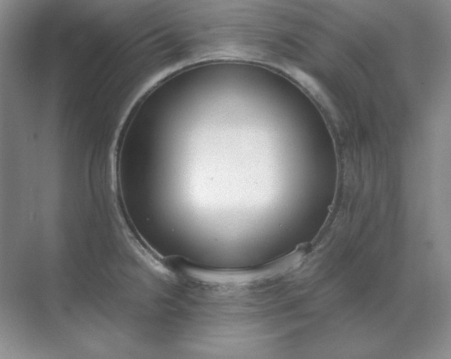 X0000071931238200607212126