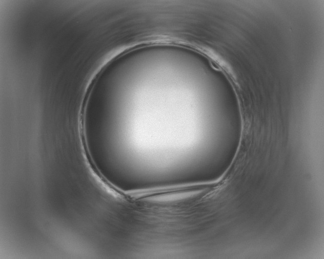 X0000071931239200607212126