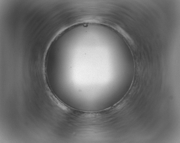 X0000071931240200607212126