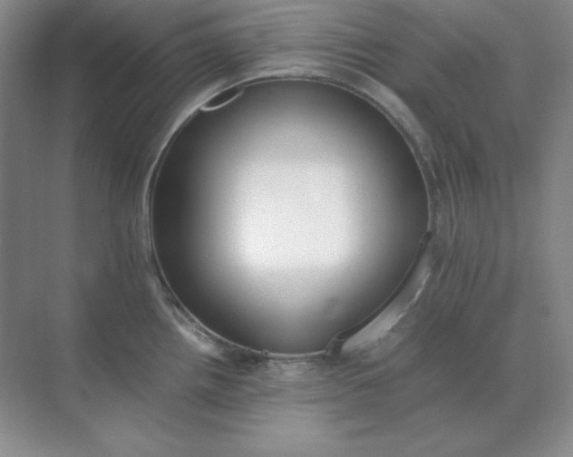 X0000071931242200607212126