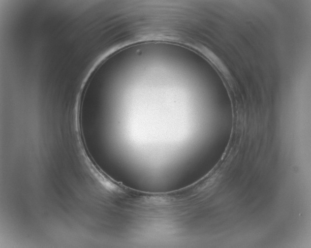 X0000071931246200607212126
