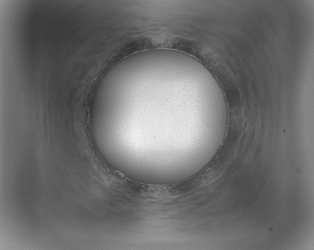 X0000071931249200607212125