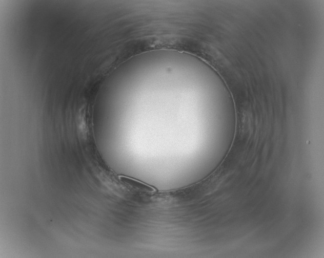 X0000071931250200607212125