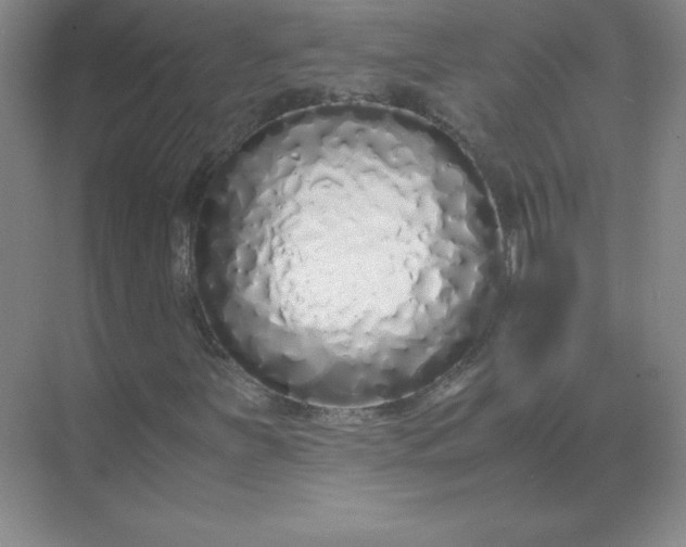 X0000071931251200607212125