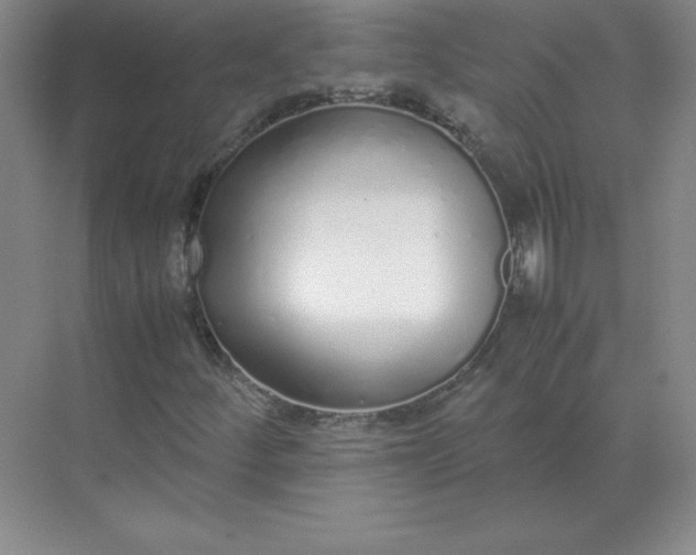 X0000071931252200607212125