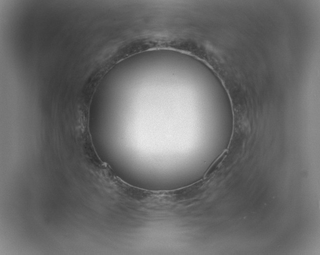X0000071931253200607212125