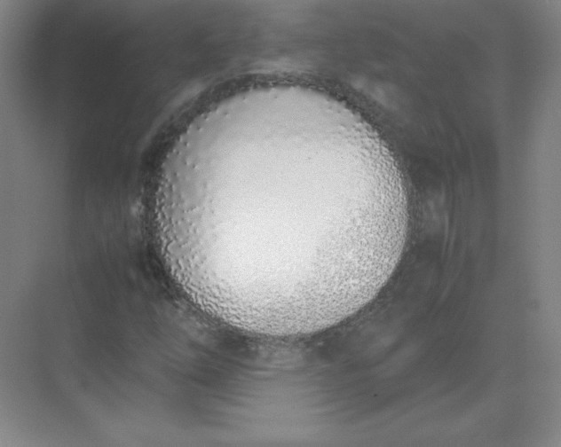 X0000071931254200607212125