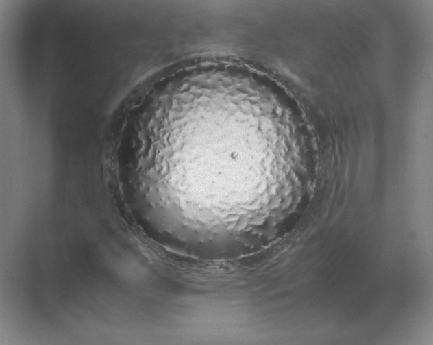 X0000071931255200607212125