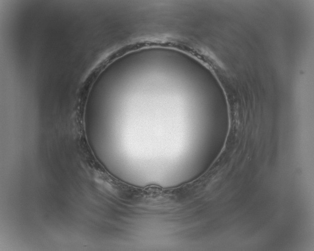 X0000071931256200607212125