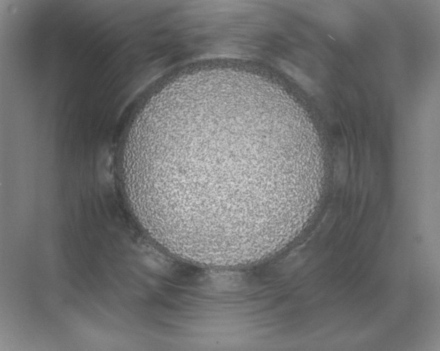 X0000071931258200607212125