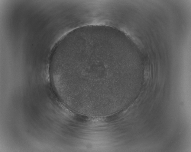 X0000071931262200607212125