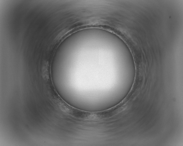 X0000071931265200607212125