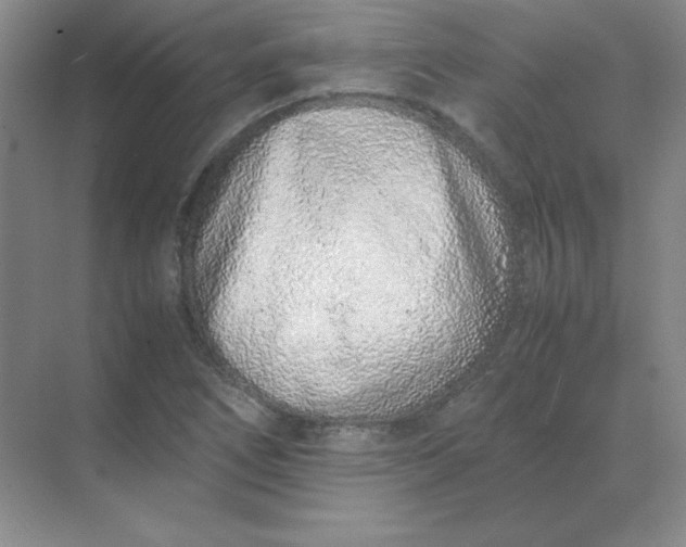 X0000071931266200607212125