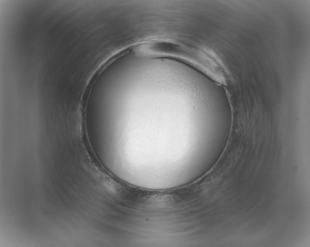 X0000071931268200607212125