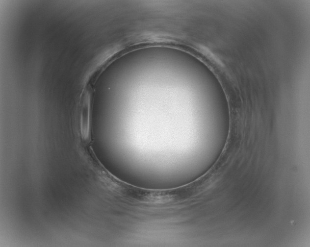 X0000071931269200607212125