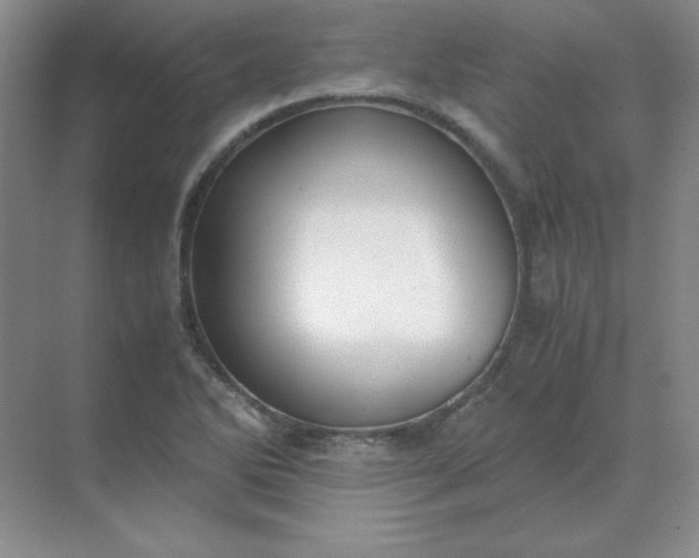 X0000071931270200607212125