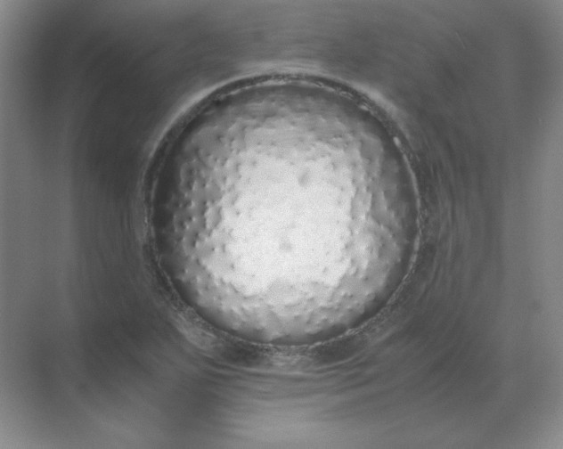 X0000071931271200607212125