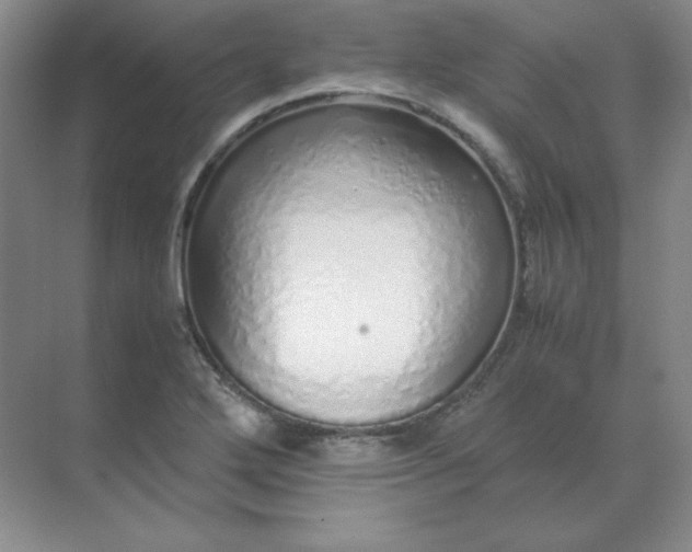 X0000071931272200607212125