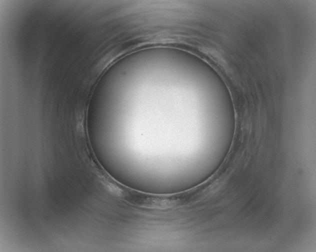 X0000071931273200607212125