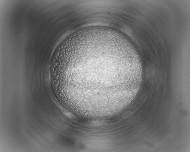 X0000071931274200607212124