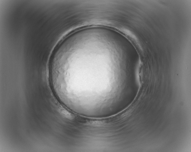 X0000071931280200607212124