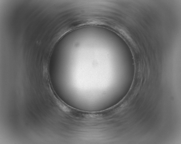 X0000071931281200607212124