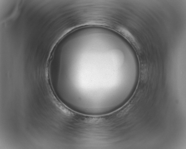 X0000071931284200607212124