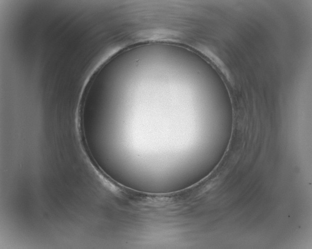 X0000071931285200607212124