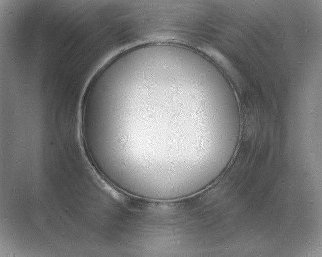 X0000071931286200607212124