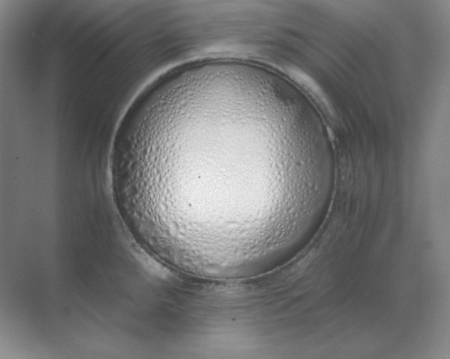 X0000071931288200607212124