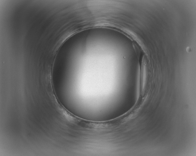 X0000071931289200607212124