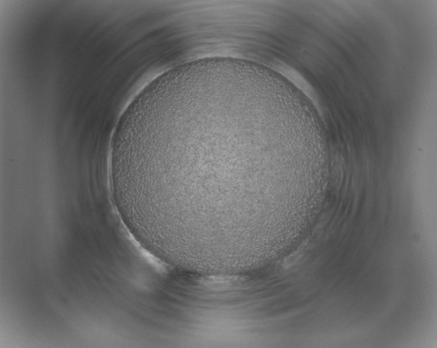 X0000071931290200607212124