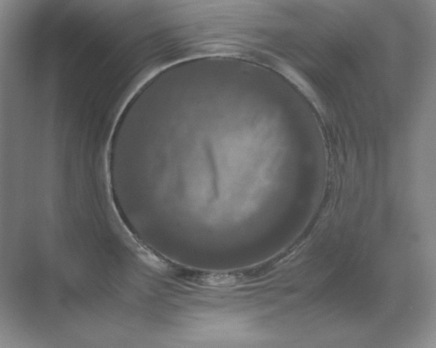 X0000071931291200607212124