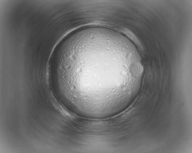 X0000071931292200607212124