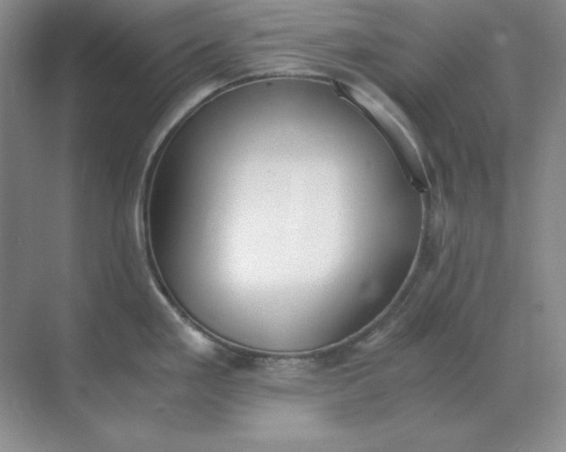 X0000071931293200607212124