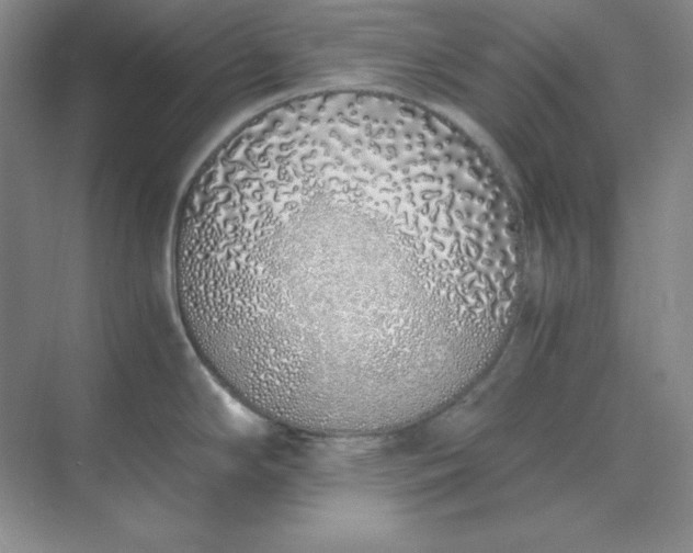 X0000071931294200607212124