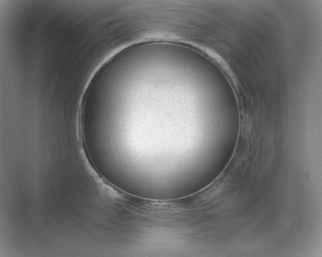 X0000071931295200607212124