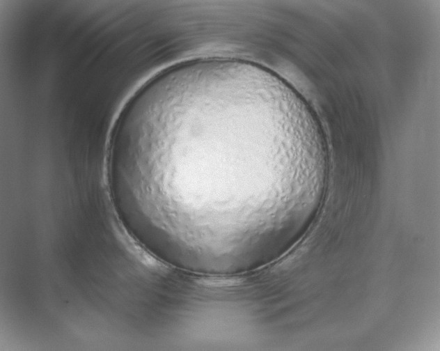 X0000071931296200607212124