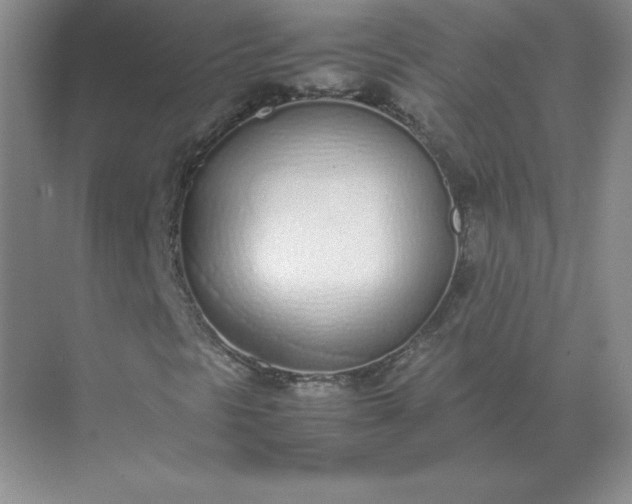 X0000071931297200607212123