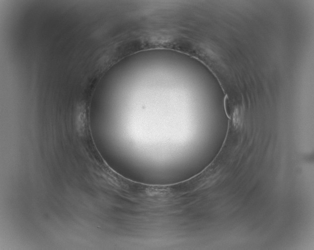 X0000071931299200607212123