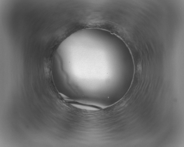 X0000071931300200607212123