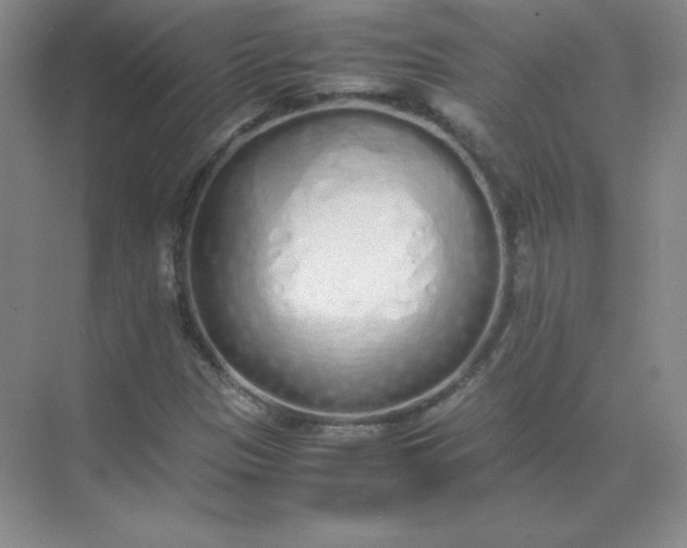 X0000071931305200607212123