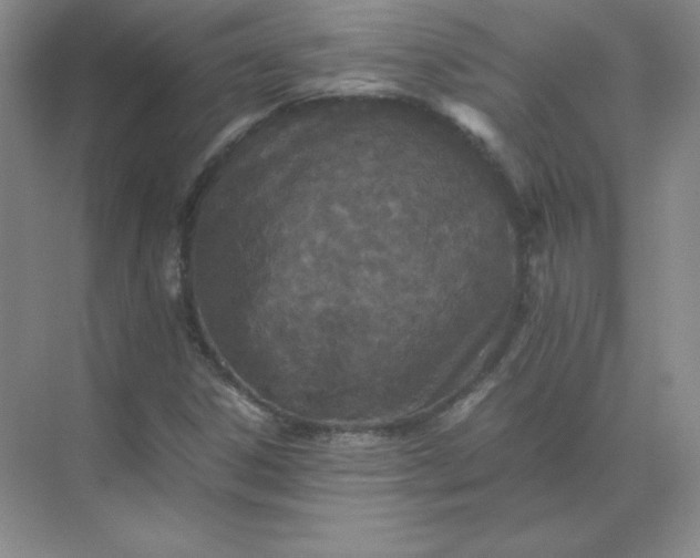 X0000071931306200607212123