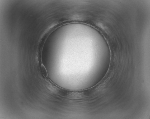 X0000071931307200607212123