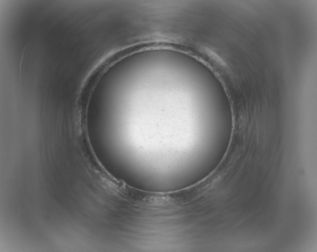 X0000071931310200607212124