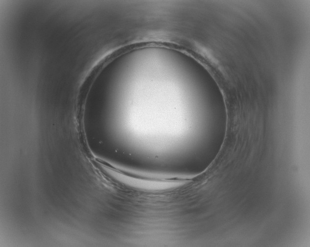 X0000071931312200607212124
