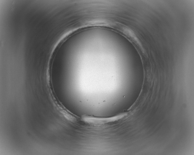 X0000071931328200607212124