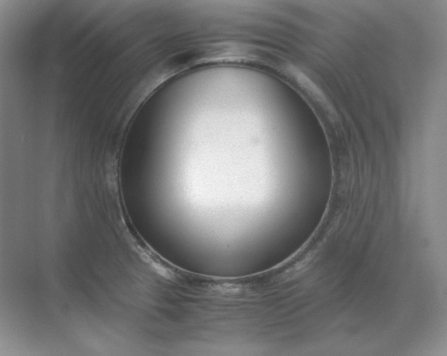 X0000071931329200607212124